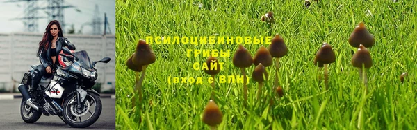 соль ск Алексеевка
