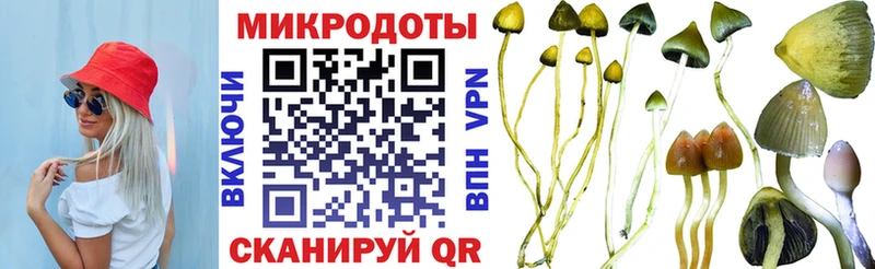 Псилоцибиновые грибы ЛСД  дарнет шоп  Дрезна 